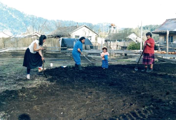 “No estamos sólo para servir mate, compañero”: Reflexión en torno al trabajo femenino en el territorio cordillerano de Panguipulli.