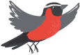 pajaro